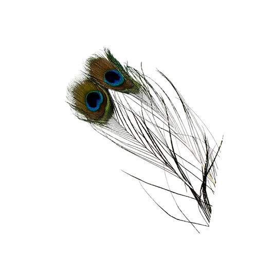 Mor Pankh / Peacock Feather- Set of 2